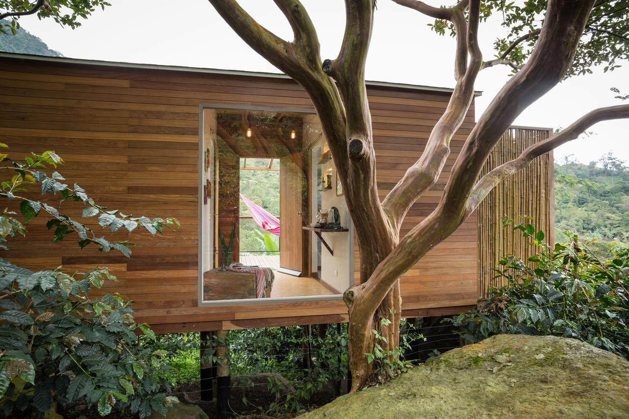 Coffee & Adventure Hotel By La Palma Y El Tucan Zipacon Exterior photo