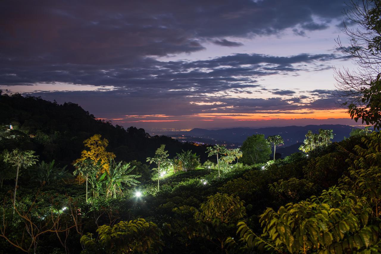 Coffee & Adventure Hotel By La Palma Y El Tucan Zipacon Exterior photo