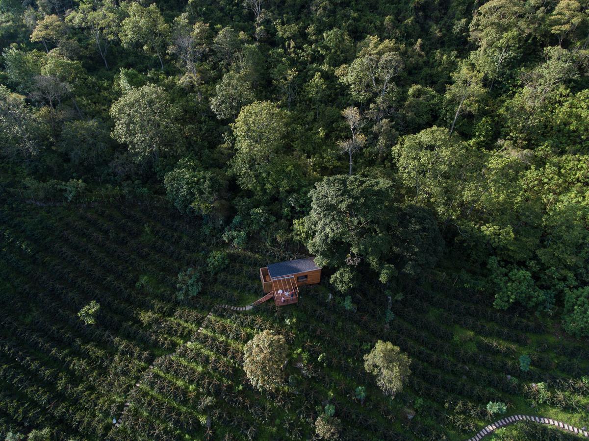 Coffee & Adventure Hotel By La Palma Y El Tucan Zipacon Exterior photo